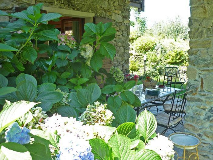 Villa Erica Con Piscina Privata Sul Lago Di Como Colico Bagian luar foto